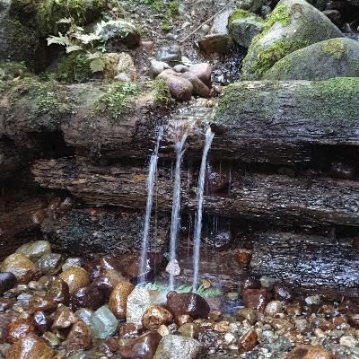 پس کی قراره من زندگی کنم؟