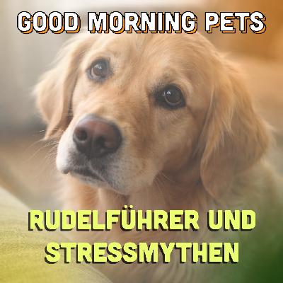 GMP102: Rudelführer & Stressmythen: Was Hunde wirklich brauchen GMP102: Rudelführer & Stressmythen: Was Hunde wirklich brauchen