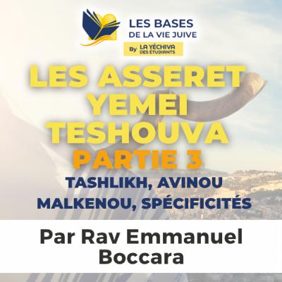 Les Asseret Yemei Teshouva - Tashlikh, Avinou Malkenou, spécificités, partie 3