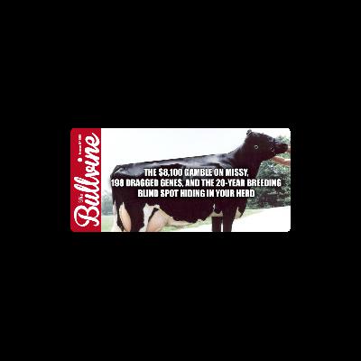 E491 The $8,100 Gamble on Missy, 198 Dragged Genes, and the 20-Year Breeding Blind Spot Hiding in Your Herd