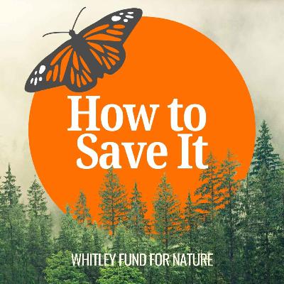 Introducing How to Save It with Kate Humble and Edward Whitley
