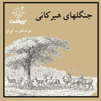 بیست و پنج- جنگلهای هیرکانی : فسیل زنده بیست و پنج- جنگلهای هیرکانی : فسیل زنده