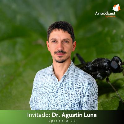 #79 - Insectos en la dieta: Explorando el potencial de la larva soldado negra - Dr. Agustín Luna #79 - Insectos en la dieta: Explorando el potencial de la larva soldado negra - Dr. Agustín Luna