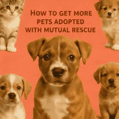 How to Get More Pets Adopted, with Mutual Rescue