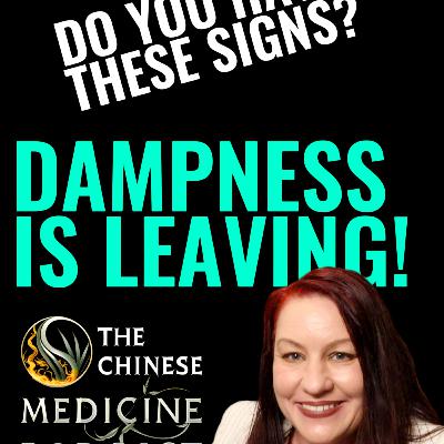 5 Hidden Signs You’re Finally Beating Dampness S9 E3