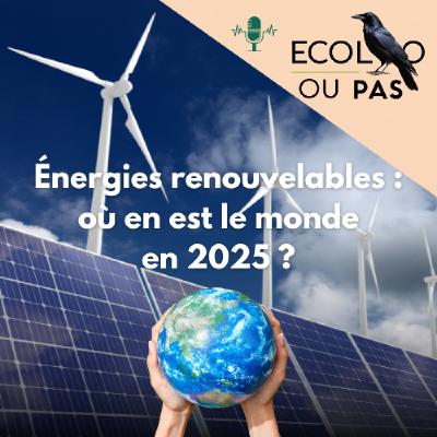 Énergies renouvelables : où en est le monde en 2025 ?