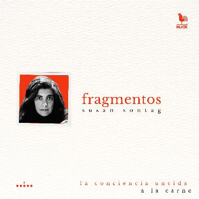 "La conciencia uncida a la carne", de Susan Sontag