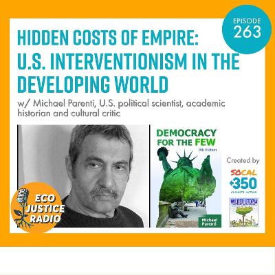 Hidden Costs of Empire: U.S. Interventionism in the Developing World