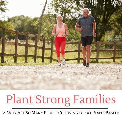 What is the Plot of the Music Man?