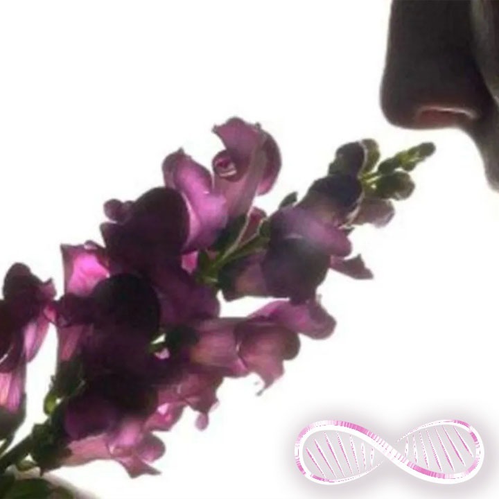 30-second pavlovian biohack for peak state confidence (when you MOST NEED IT)