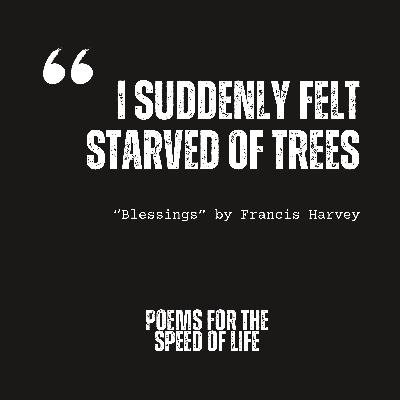 S5, E5: "Blessings" by Francis Harvey S5, E5: "Blessings" by Francis Harvey