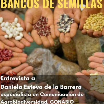 Bancos de semillas