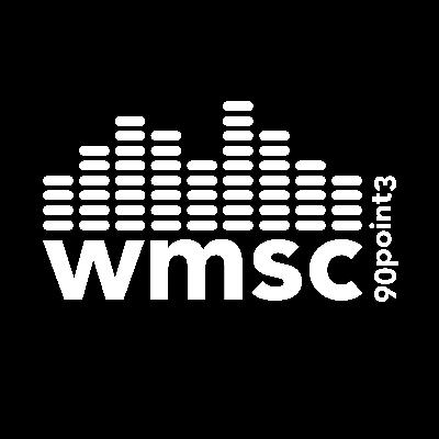 The Backfires WMSC GovBall Interview
