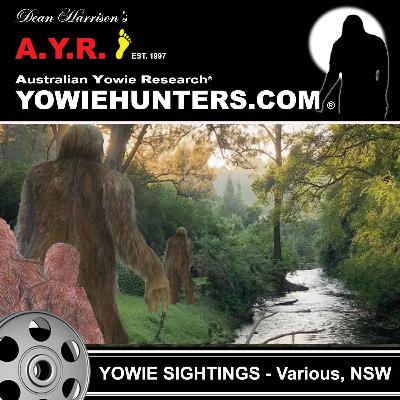Yowie Sightings in New South Wales