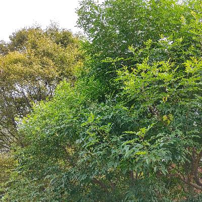 落ち込んだ自分を癒すお散歩道