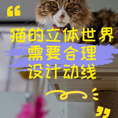 猫的世界是立体的 合理设计动线