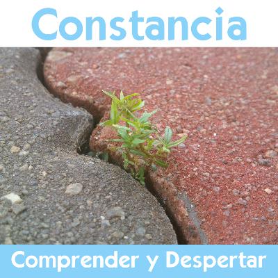 Práctica con Constancia