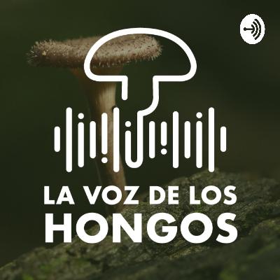 Hongos que controlan insectos con Laura Campos - Episodio 16