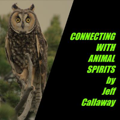 OWL SPIRIT GUIDED SHAMANIC JOURNEY