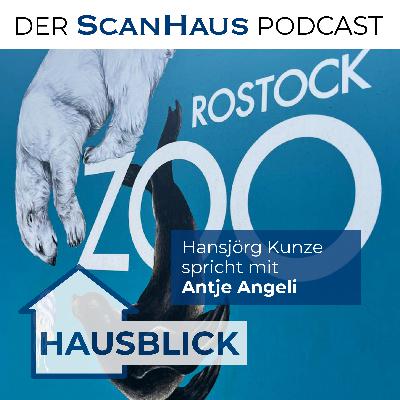 Riesentier zum Klettern – Wie der Zoo Rostock jetzt auf Insekten abfährt!