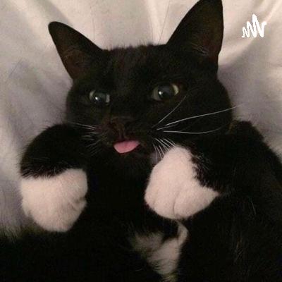 Squeak and the Drako shizzow