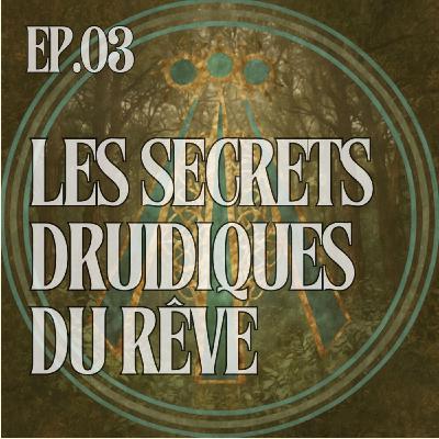 Voyager entre les mondes : les secrets druidiques du rêve Voyager entre les mondes : les secrets druidiques du rêve