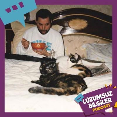 LP55 - Freddie Mercury'nin Kedisinin Sanat Eseri