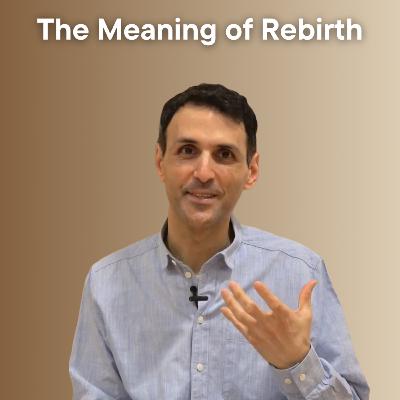 The Meaning of Rebirth The Meaning of Rebirth
