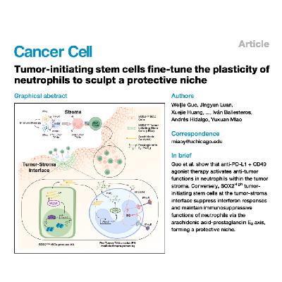 357-SOX2干细胞调控中性粒细胞抵抗免疫治疗