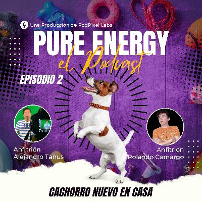 Cachorro Nuevo en Casa