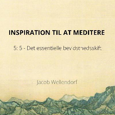 Inspiration til at meditere 5:5 - Det essentielle bevidsthedsskift Inspiration til at meditere 5:5 - Det essentielle bevidsthedsskift