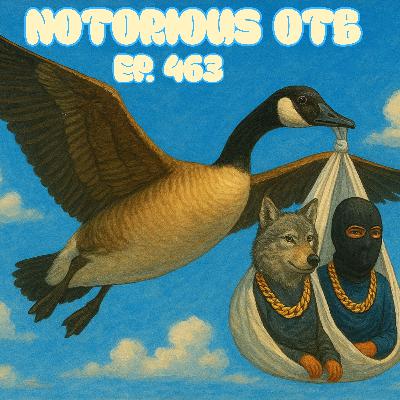 Saturday Aqueduct 11/8/2025 $100 Budget Bets w/ Matthew DeSantis! | The Notorious OTB – Daily Horse Racing Picks (Ep. 463)