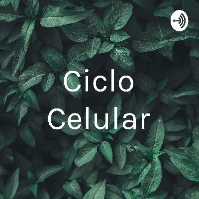 Ciclo celular explicación