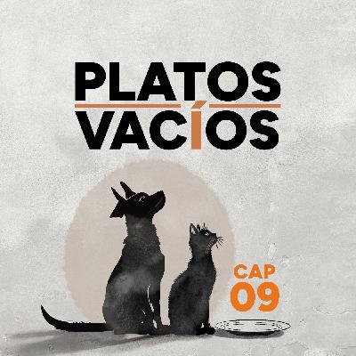 La gata guardiana de portales mágicos