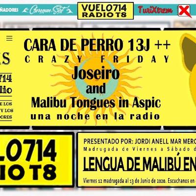 13-06-2020 #CaraDePerro13J LLAMADA DE HUGO SIERRA AL VUELO714