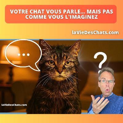 VOTRE CHAT VOUS PARLE ... MAIS PAS COMME VOUS L'IMAGINEZ