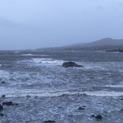 The Clean Up After the Storm The Clean Up After the Storm