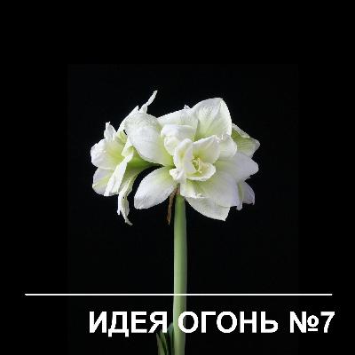 Идея Огонь – Эпизод 7 Идея Огонь – Эпизод 7