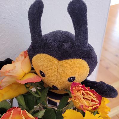 Die Bibel ist Schwarzbrot und schmeckt süsser als Honig