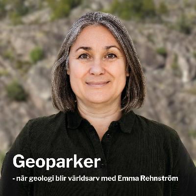 95 Geoparker - när geologi blir världsarv