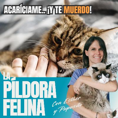 564. Acaríciame.. ¡y te MUERDO! 564. Acaríciame.. ¡y te MUERDO!