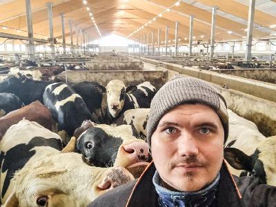 Samuel Ingves om slutuppfödning av nöt i Eurobull Ab
