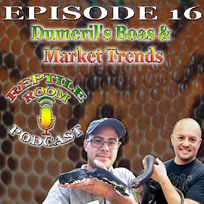 Episode 16 - Dumeril's Boas, Market Trends, and Andy's Back!