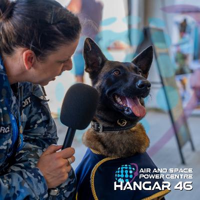 Hangar 46: Aviators at Avalon International Air Show 2025