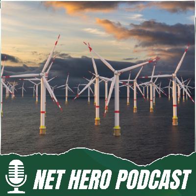 Auctions matter for our green future