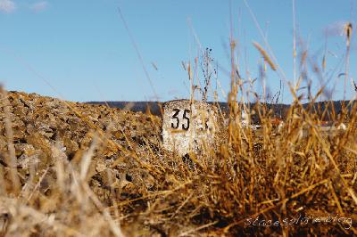 Milestones
