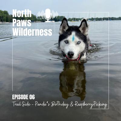 Trail Side - Panda’s Birthday & Raspberry Picking