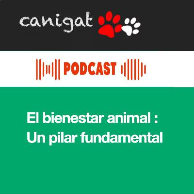 131- Las cinco libertades del bienestar animal : Un pilar fundamental