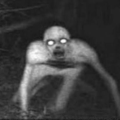 سیمرغ عطار(اپیزود چهل و ششم) سیمرغ عطار(اپیزود چهل و ششم)