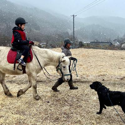 083感覚統合から見る三陸駒舎の未来：馬と子どもたちがつくる新しい可能性（澤田いのりさんとの感覚統合の対話3）